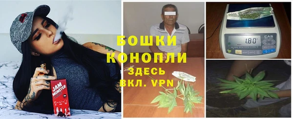 тгк Бородино