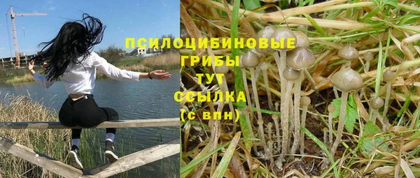 винт Бронницы