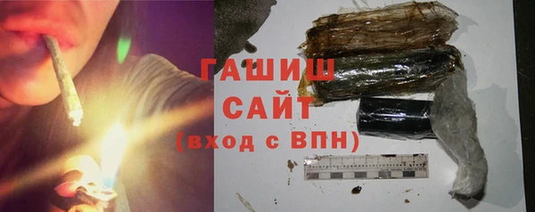 тгк Бородино