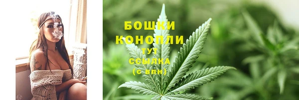 винт Бронницы
