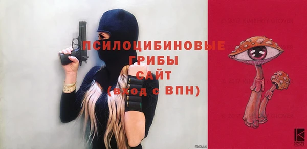 тгк Бородино
