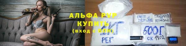 тгк Бородино